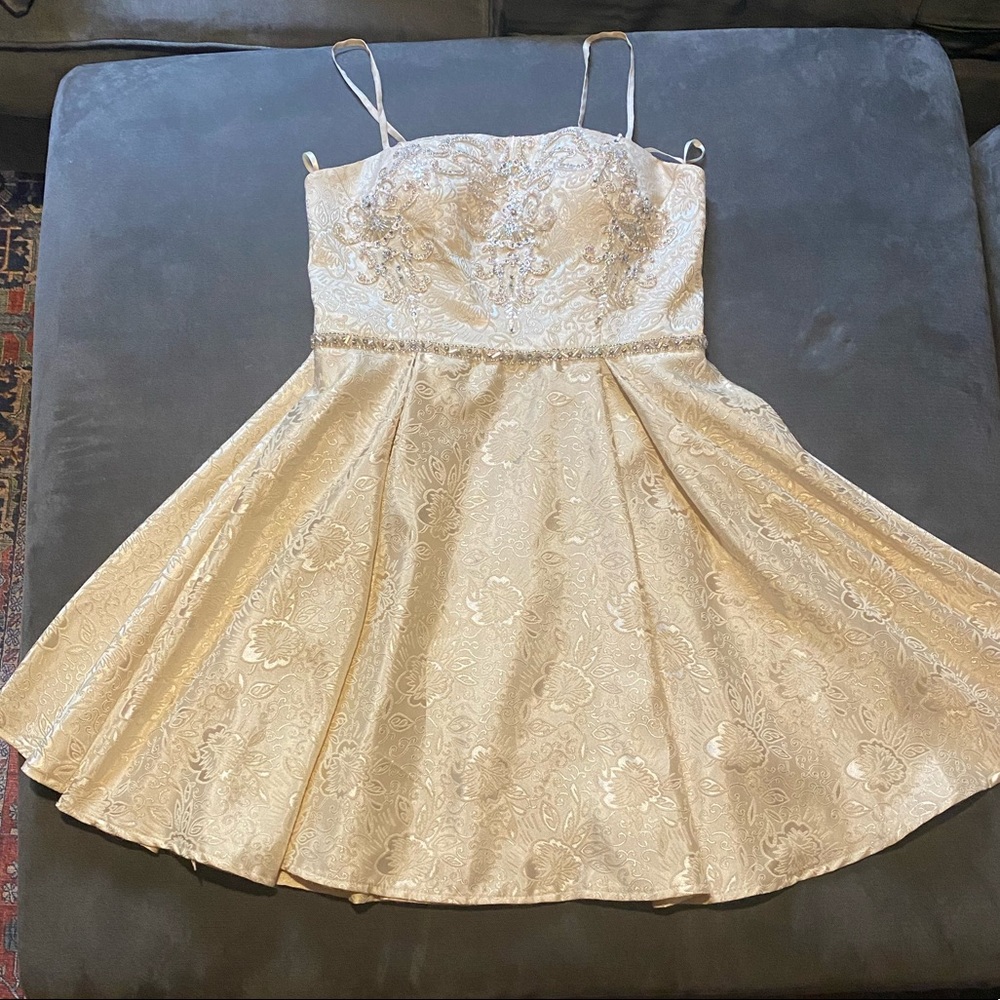 Embellished Champagne Dress